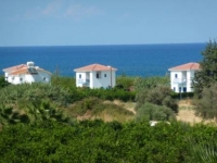 Secluded Orchard villa next to beach in Polis Cyprus