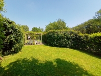 wisteria garden 4