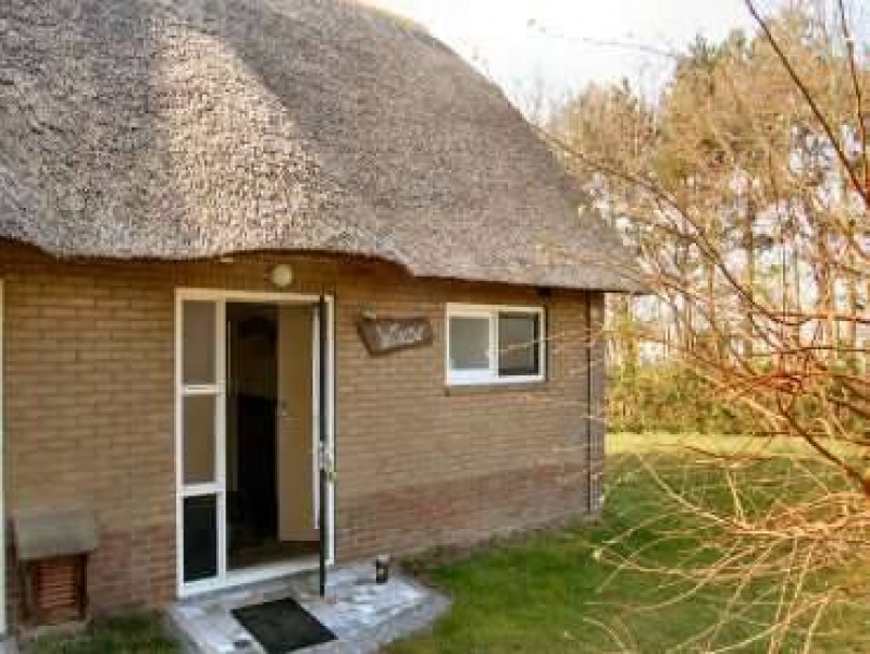 Thatched cottage to rent Ameland, Netherlands HOLLAND