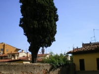 FLORENCE OLD BRIDGE APARTMENT