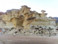 Bolnuevo natures carvings