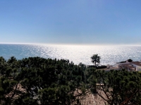 IMG-20210202-WA0020