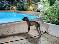 IMG_20230623_222154~2