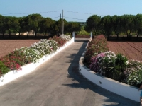 That Wall Took Some Painting