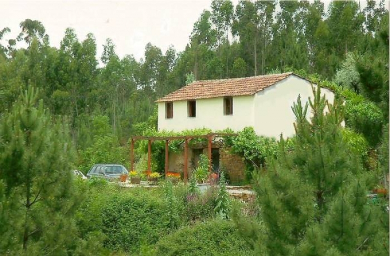 Villa/House,  Mara’s Cottage, Figueiro Dos Vinhos, Central Portugal with Pool